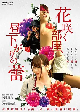 中女向短剧合集推荐